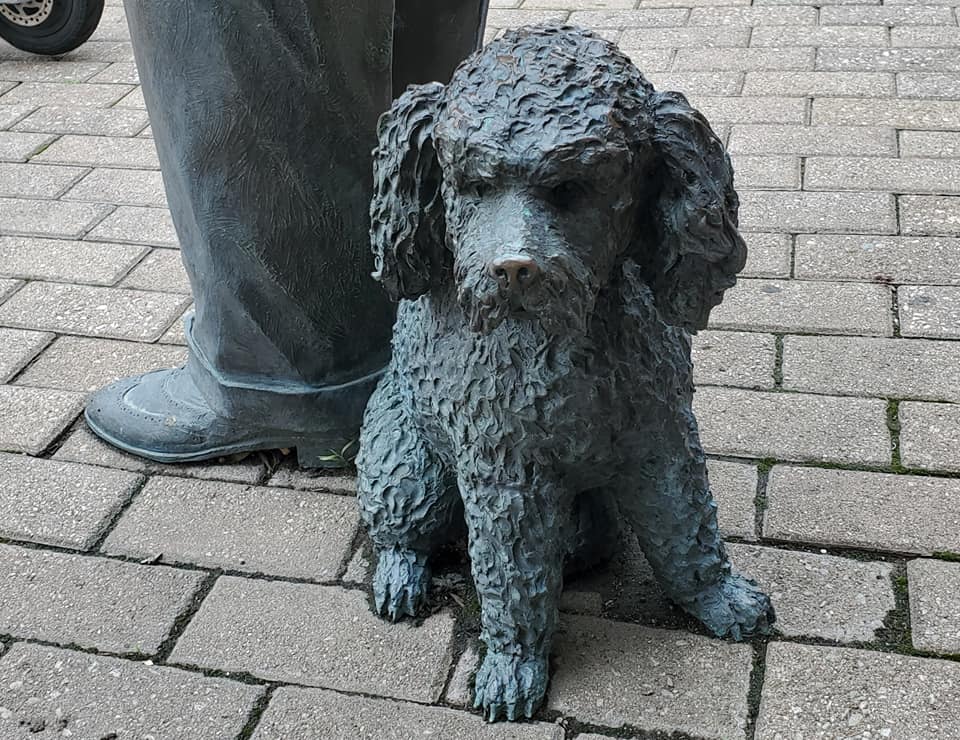 361619226_767744781794964_827164780248102326_n