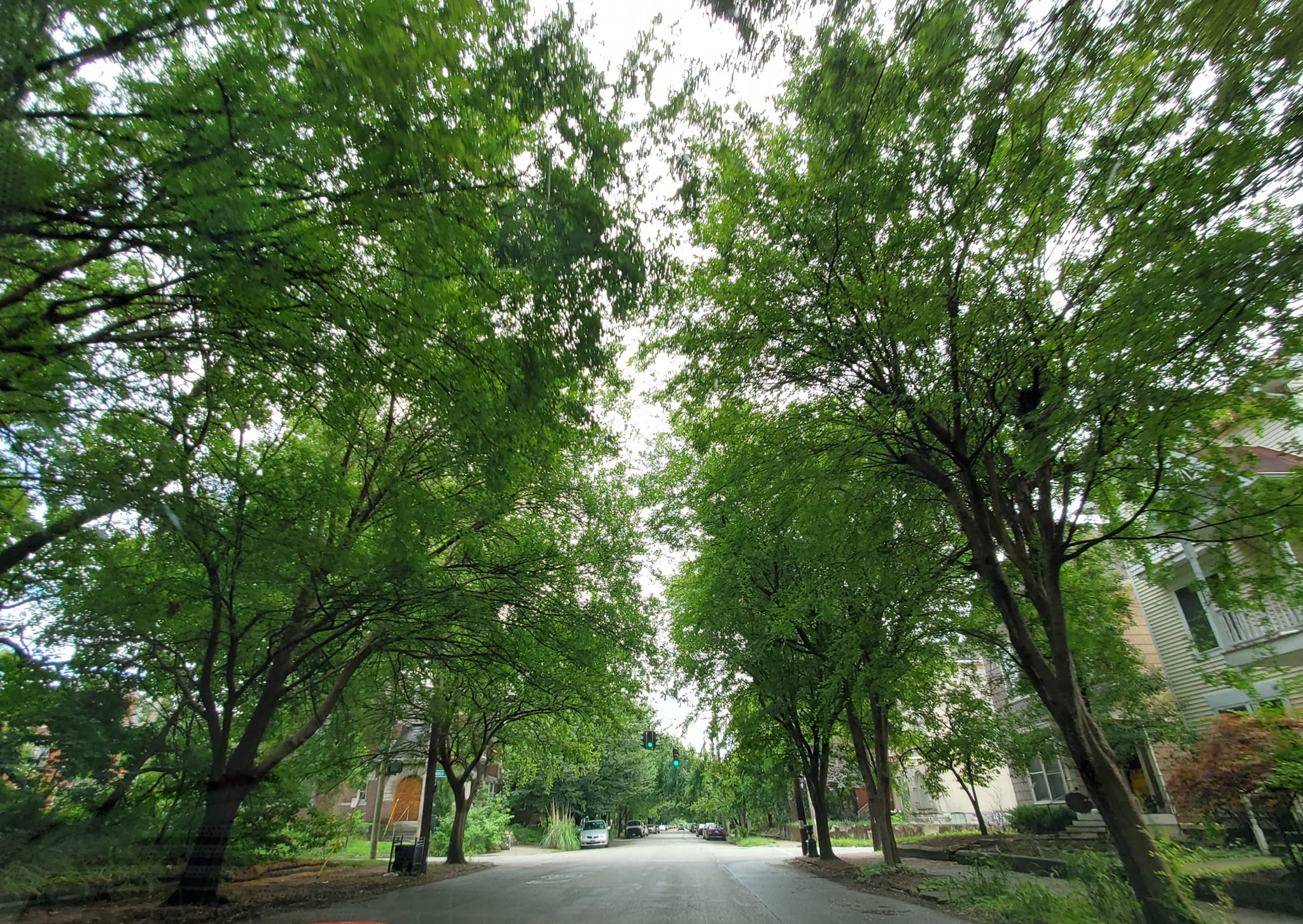 361621141_767775481791894_5126735717635858435_n