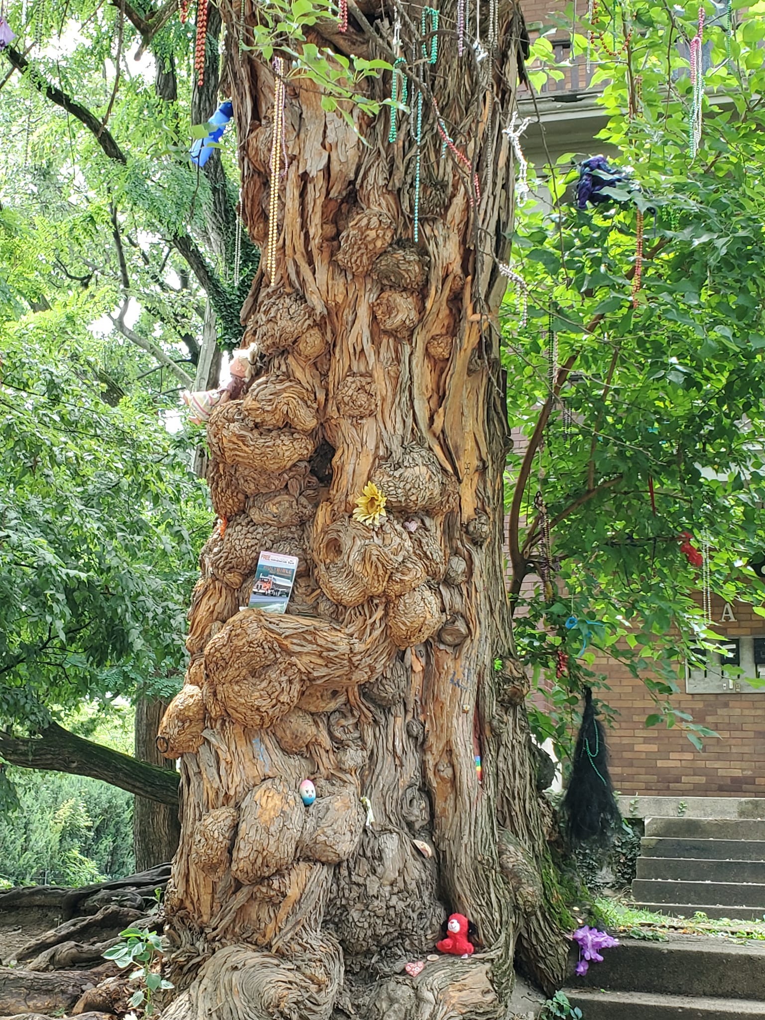 361622070_767775568458552_7805066225184652699_n