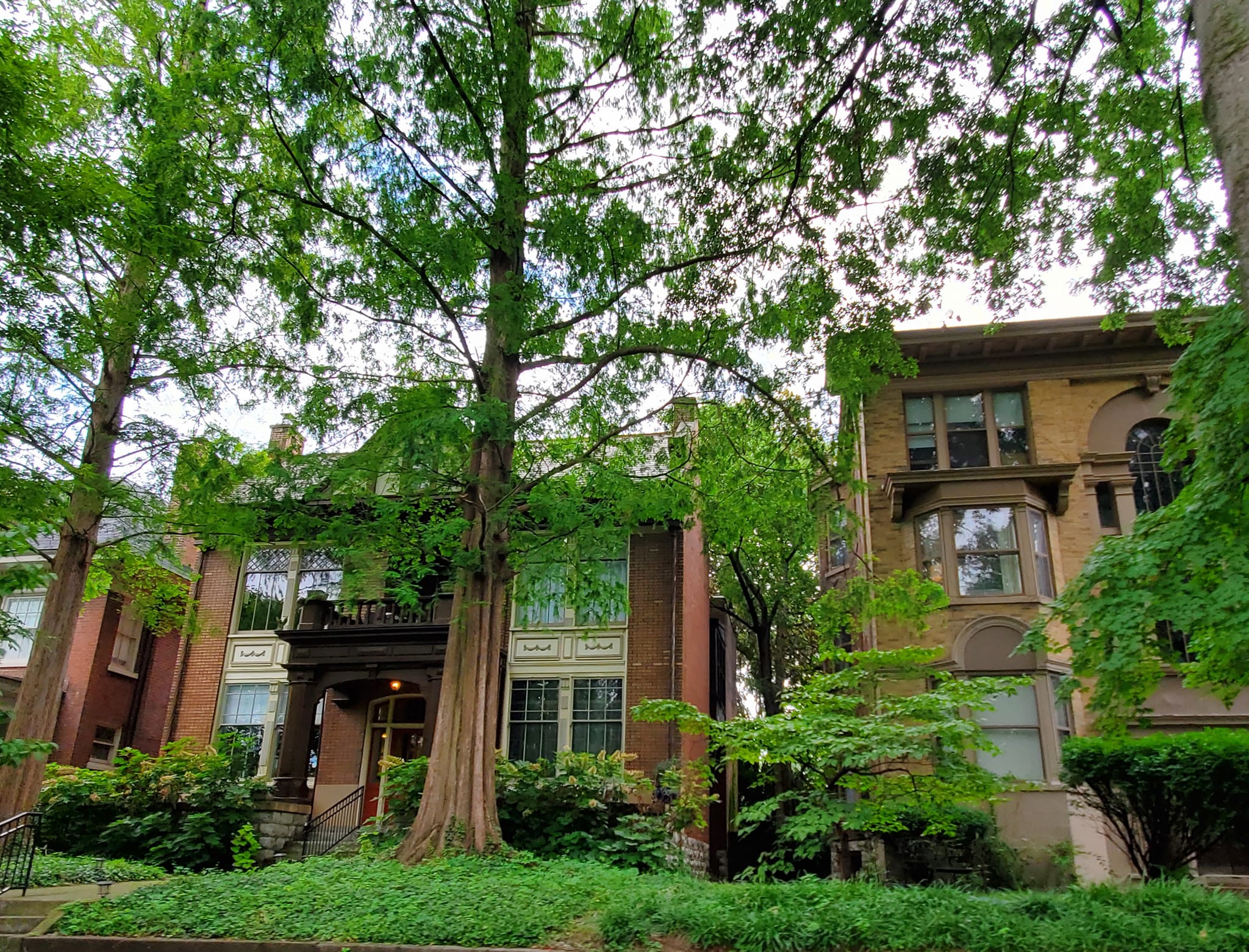 361629752_767784551790987_4706416106911797850_n