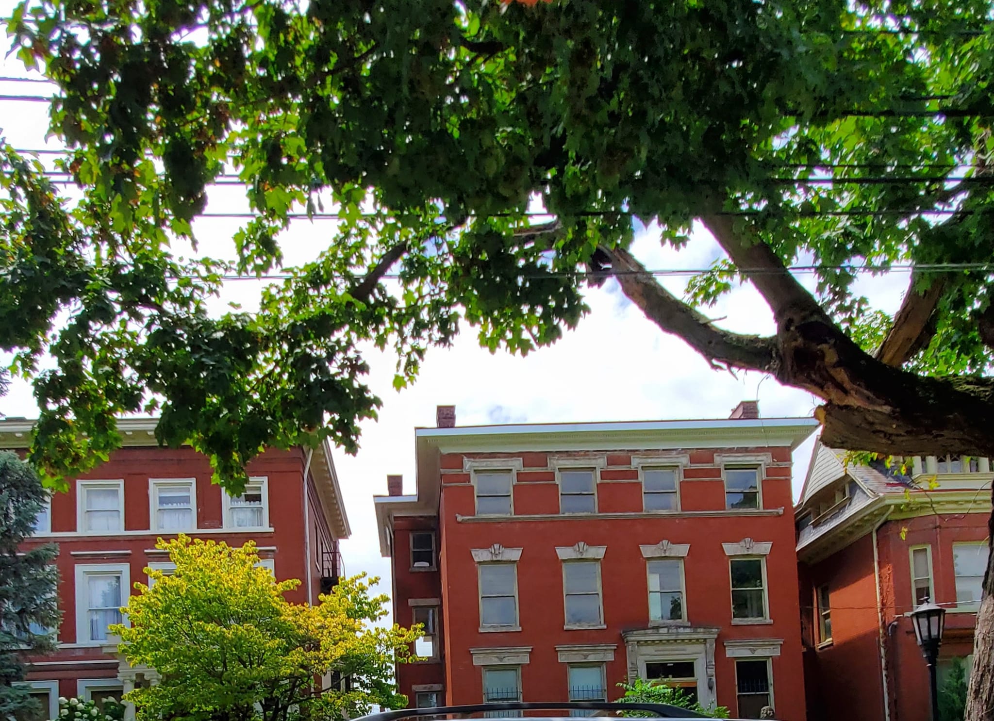 361634675_767775885125187_6174787208210286133_n