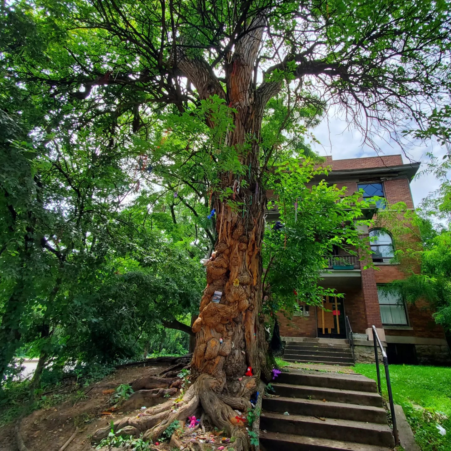 A360116276_767089235193852_7674585818285758203_n