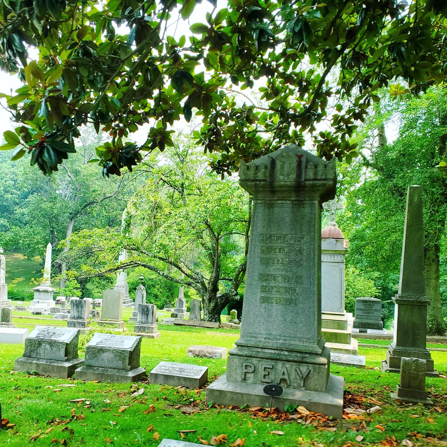 A361098235_767401258495983_7804300305790654440_n