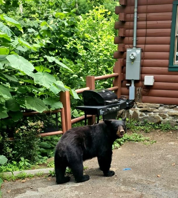 361635595_768227188413390_1805484772623464434_n