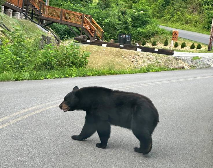 361663552_768227238413385_6450486928521277759_n