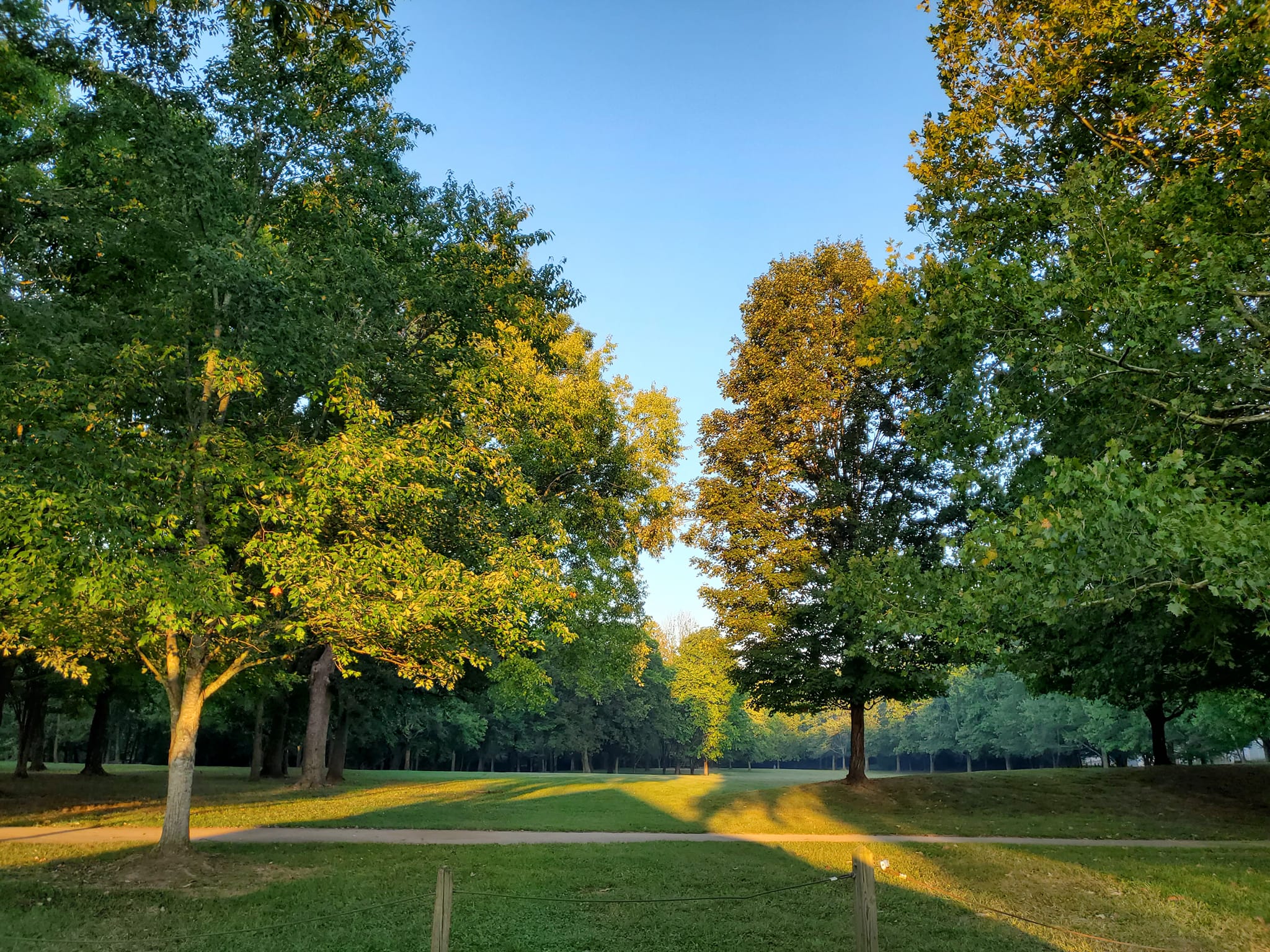 370353697_794377029131739_7033346789088212942_n