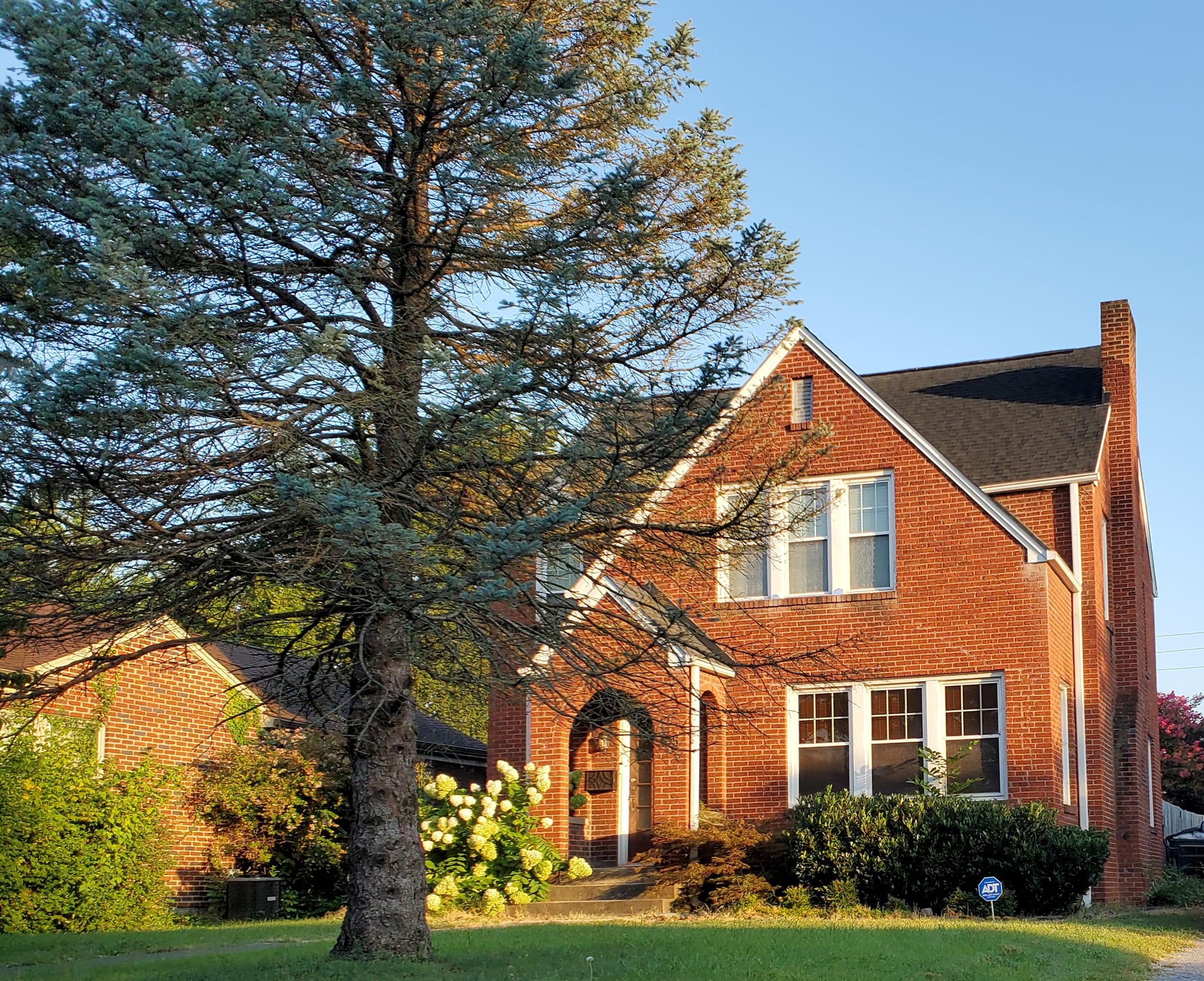 373535112_794372129132229_187001673053420124_n