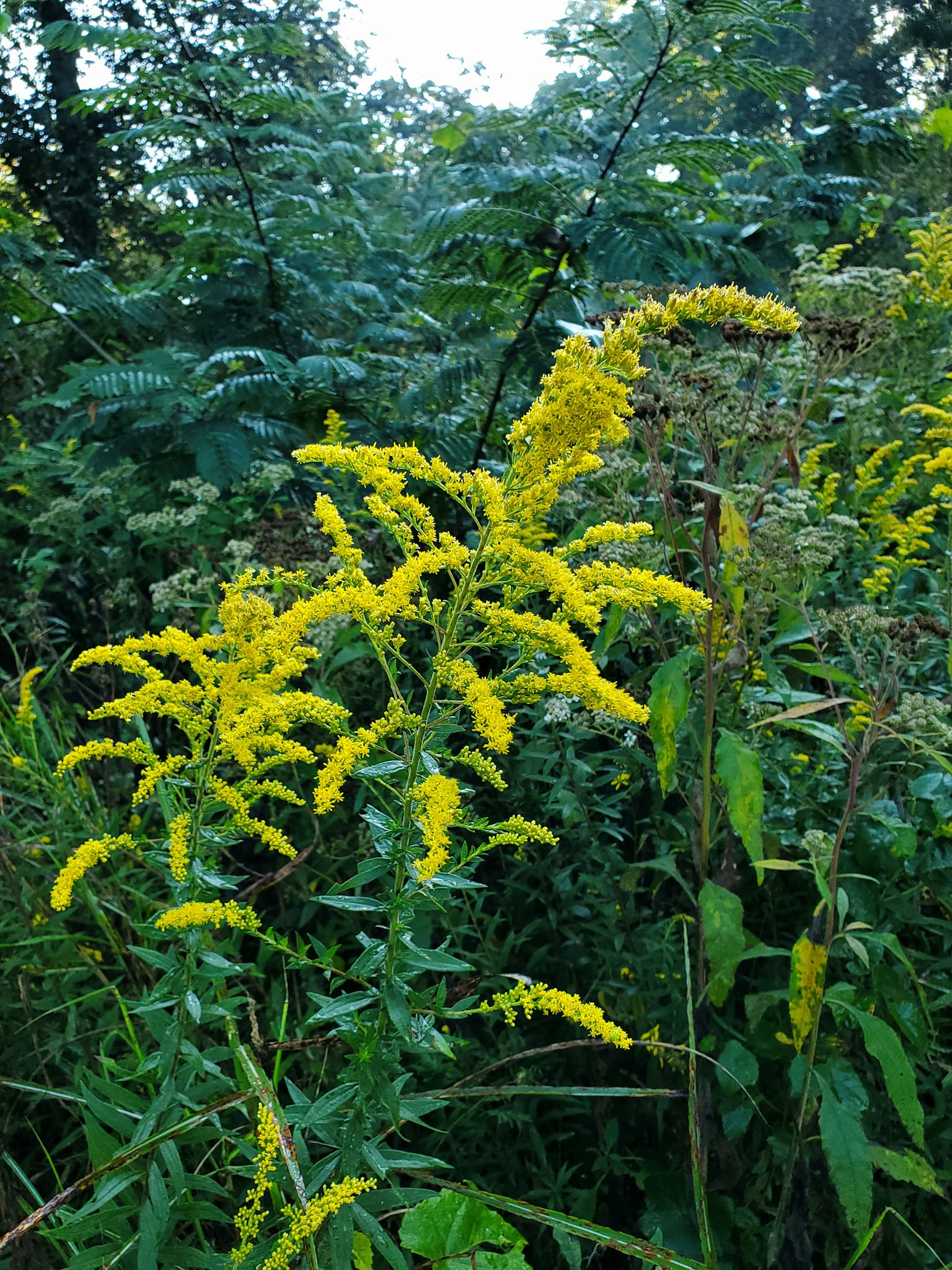 379425722_805280254708083_4106079143121637575_n