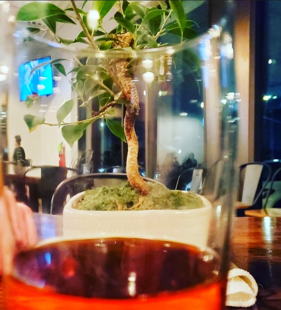 379441593_805361334699975_8956880629205111801_n