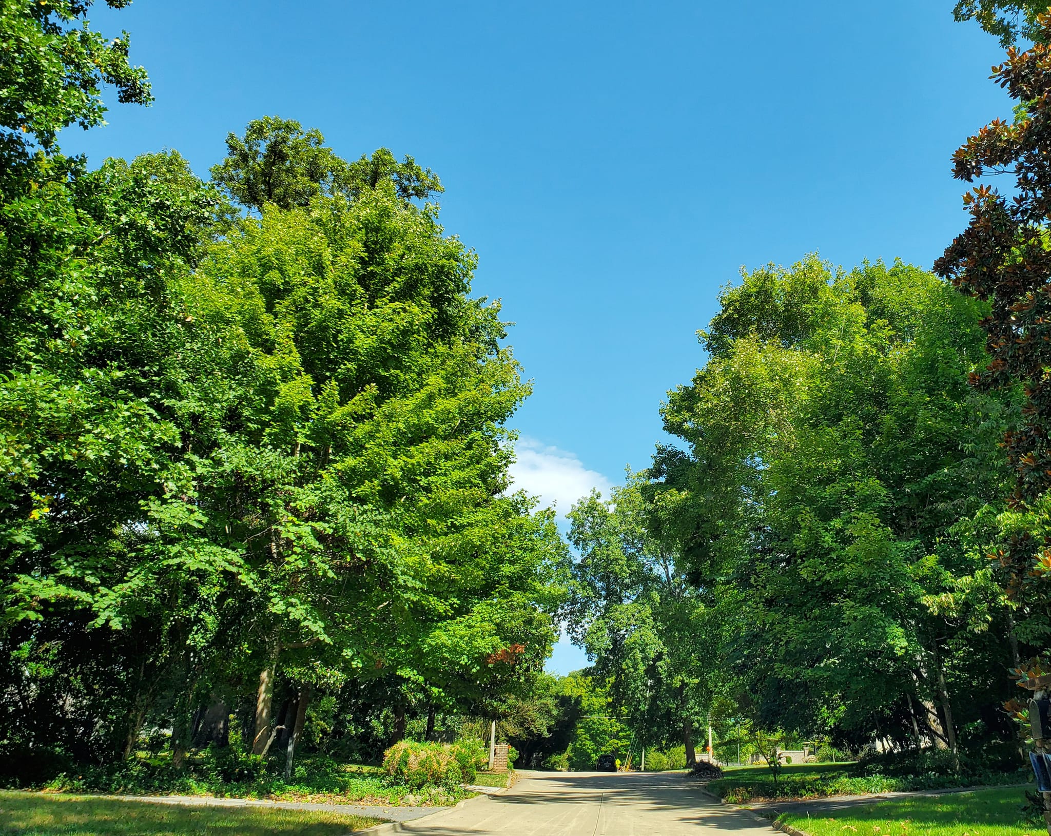 379453360_802079285028180_8122304250639730409_n