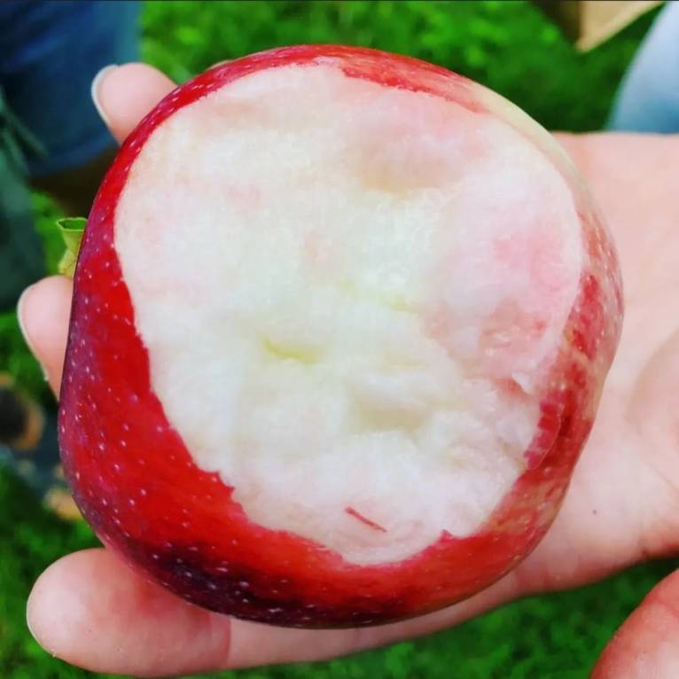 380330659_806547314581377_2868211936144813840_n