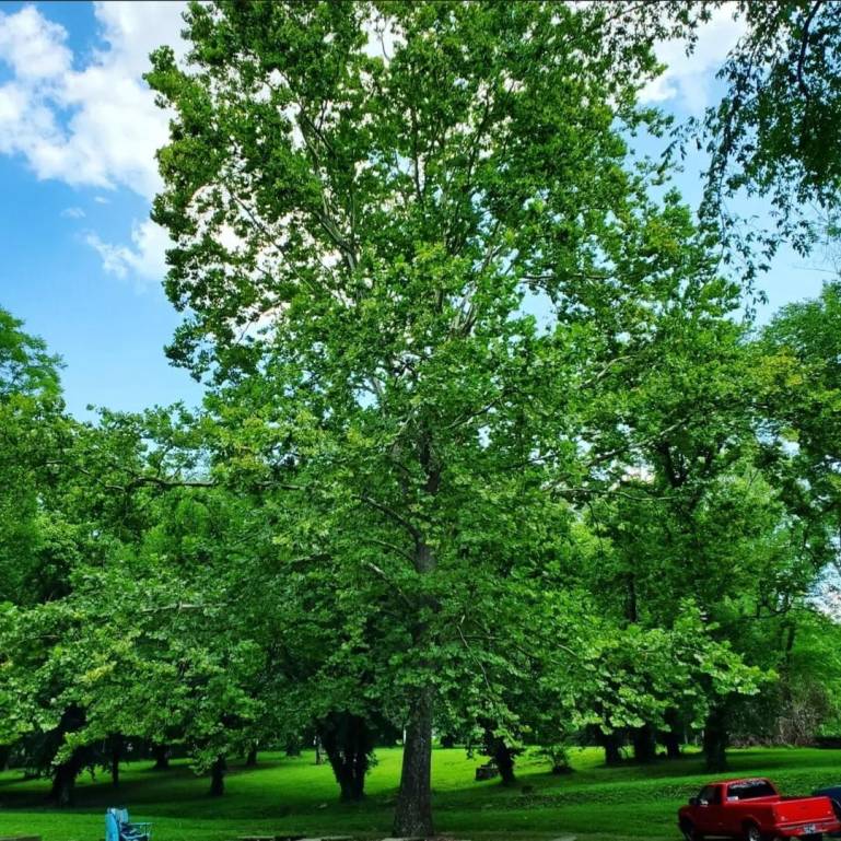 380331869_806547261248049_5593174768369892191_n