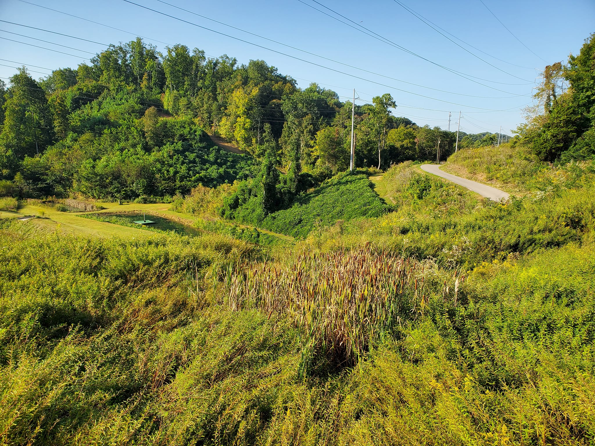 380948307_805280291374746_715558493003284016_n