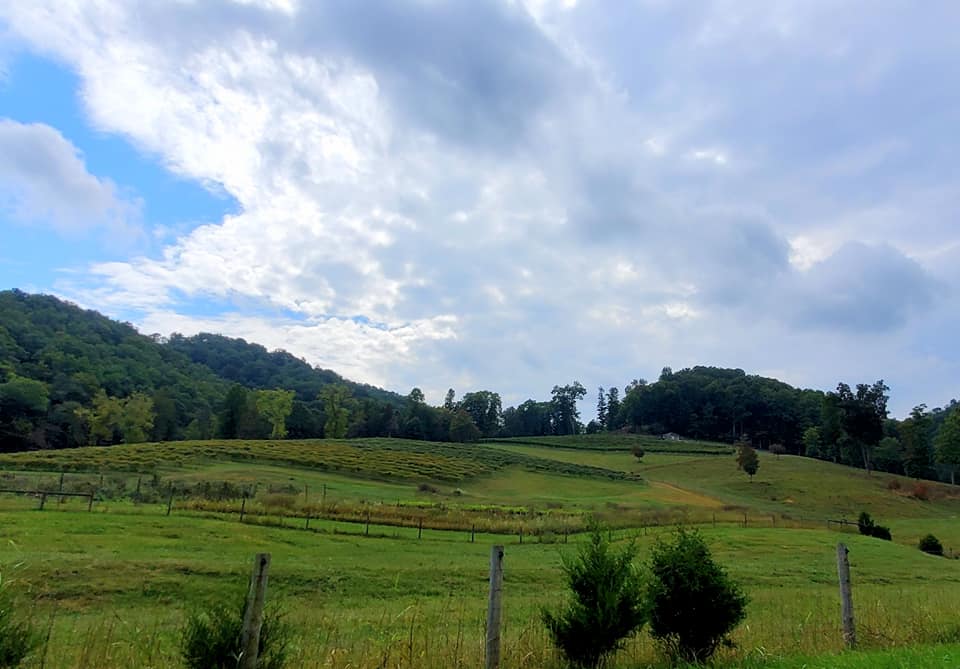 384568729_808242534411855_3181444435561293328_n