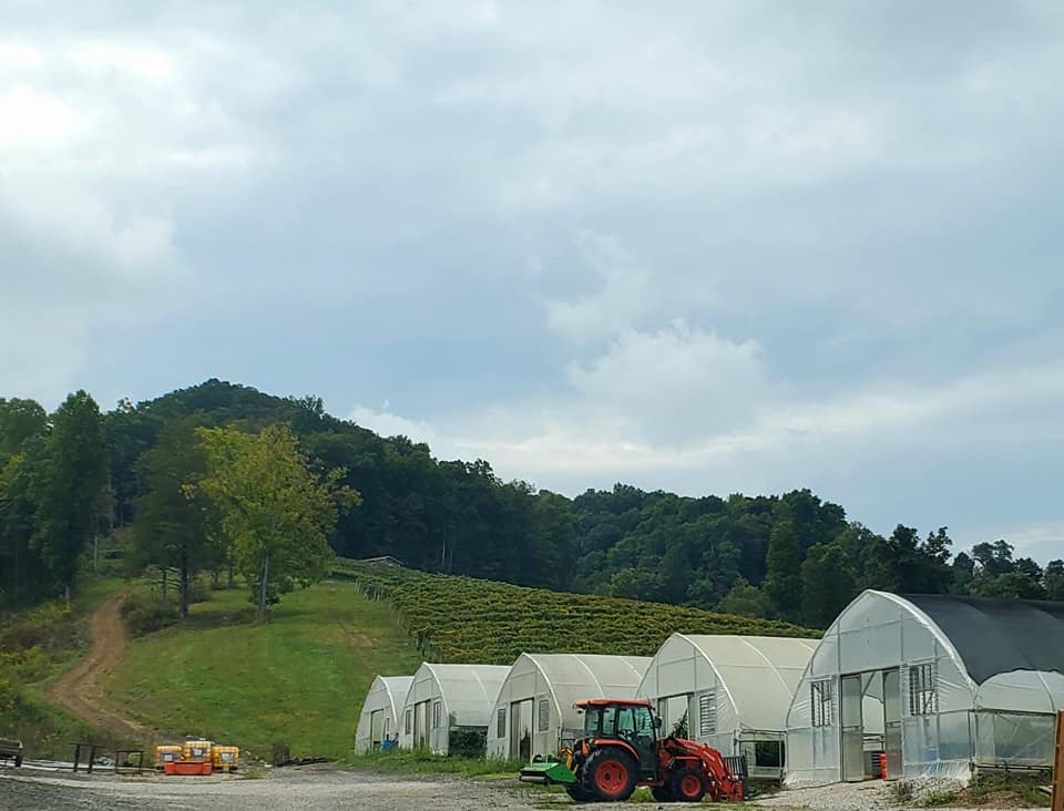 384743410_808242697745172_1263907454448494776_n