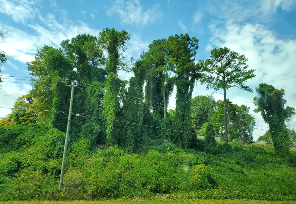 384743661_808236054412503_3004111893674339261_n