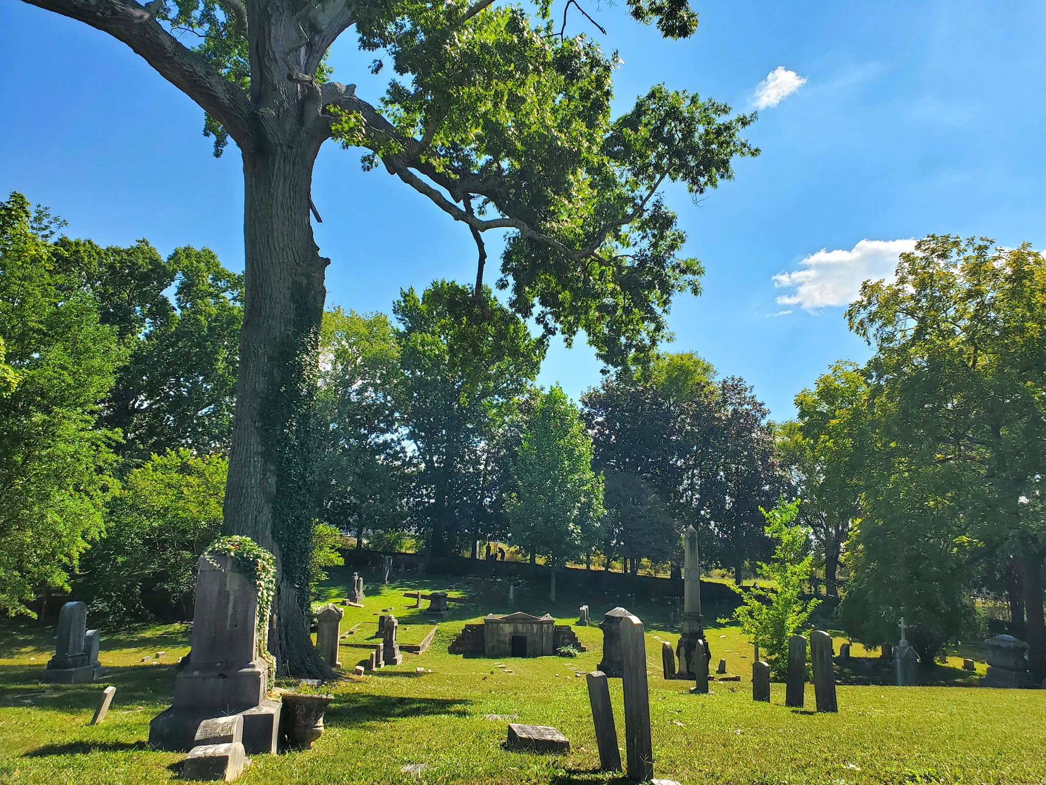 t380238367_805425741360201_401867708395787821_n