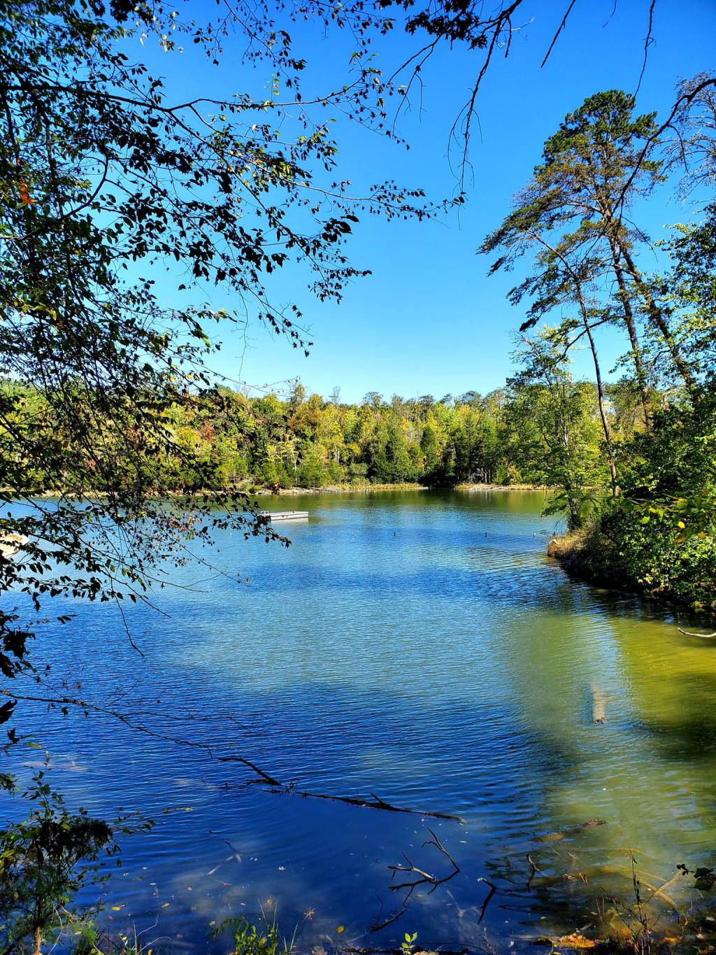 Union County: Tennessee White Lightning & The Cradle of Country Music