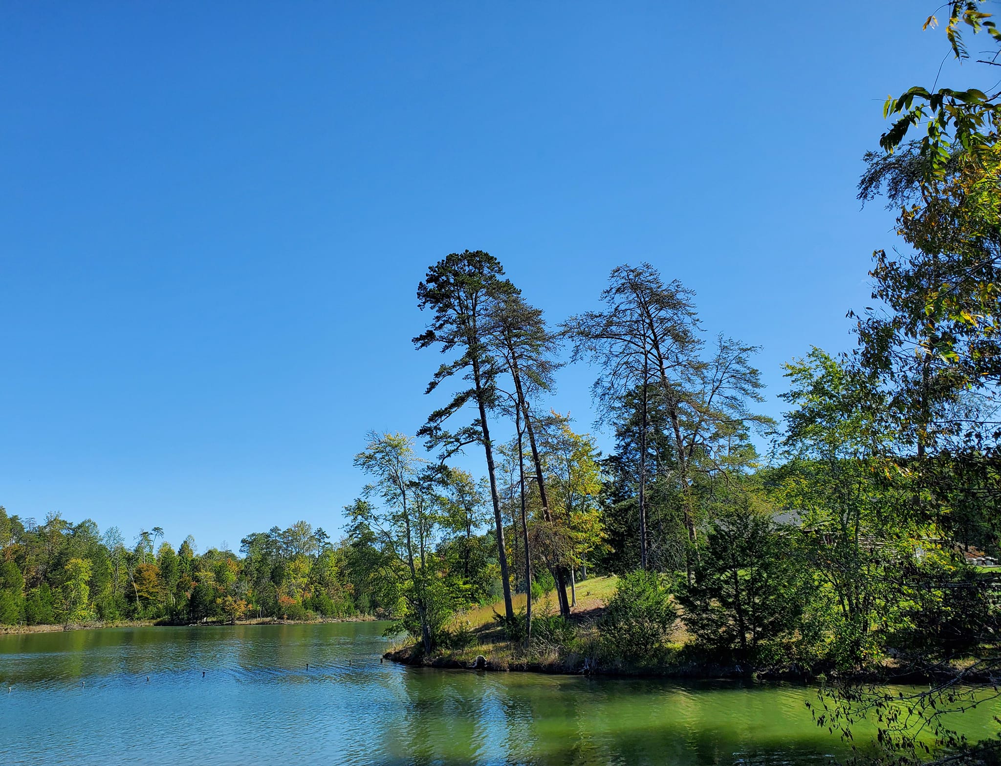 370118207_813067170596058_169386159537538072_n