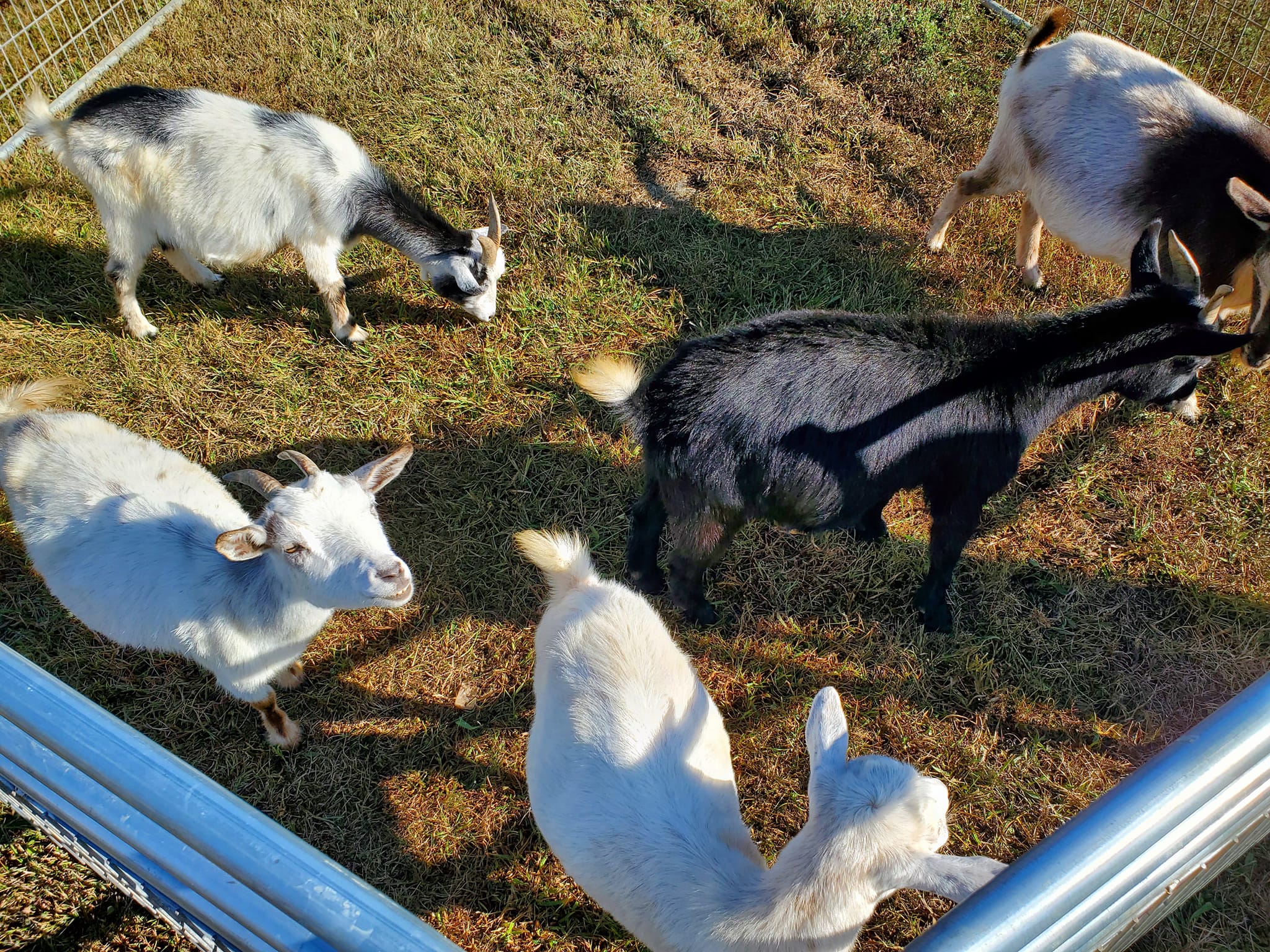 370362504_813064363929672_1818374052523646227_n