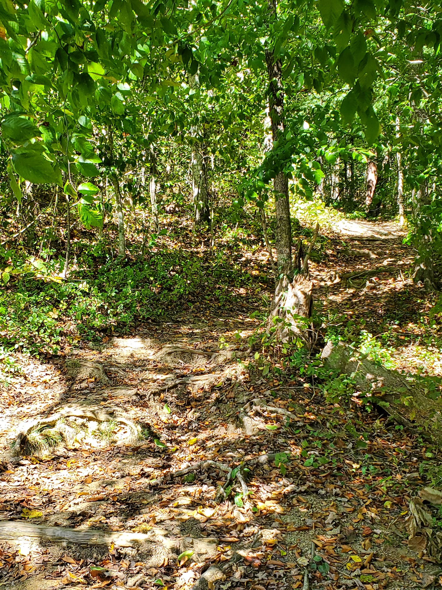 382605486_813066750596100_435789674788248634_n