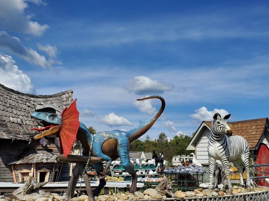 385262789_811550137414428_9024234064640777747_n