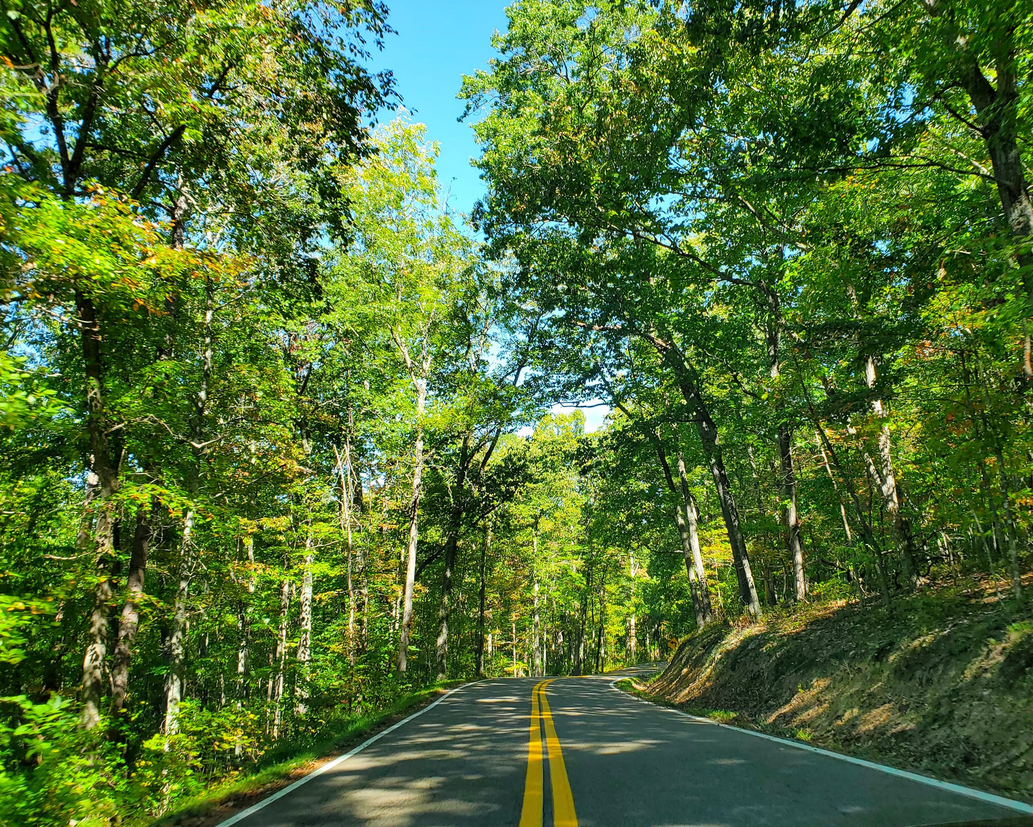 385328542_813066030596172_4703270837271405297_n