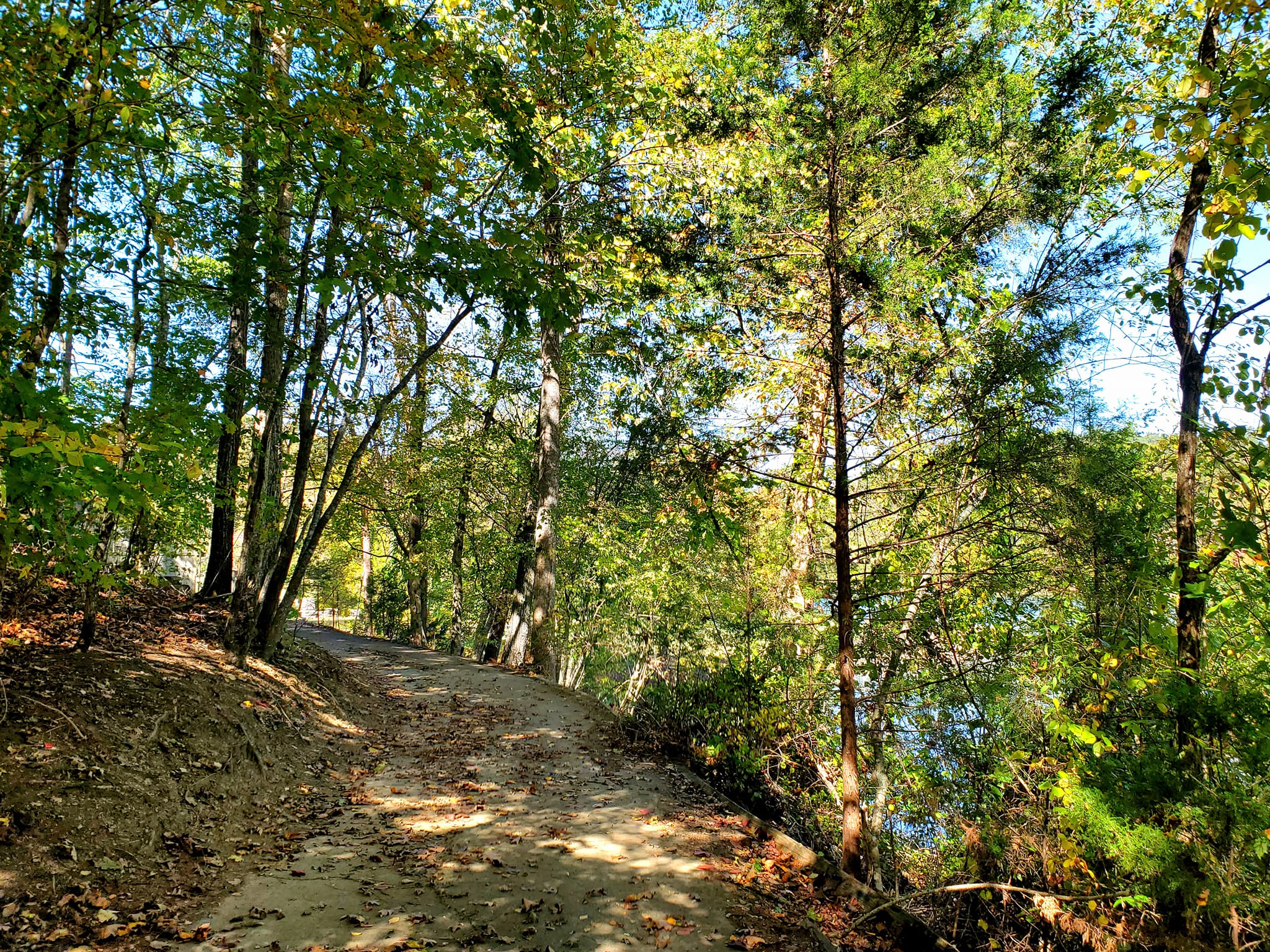 385871280_813066917262750_5318409954108957870_n