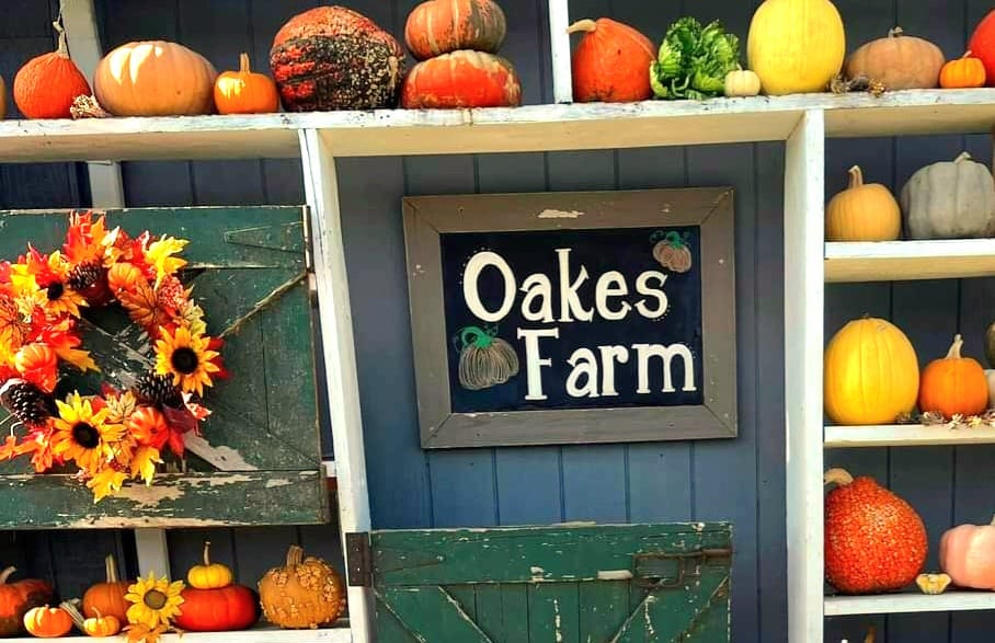 385874777_813479390554836_58513911365225973_n