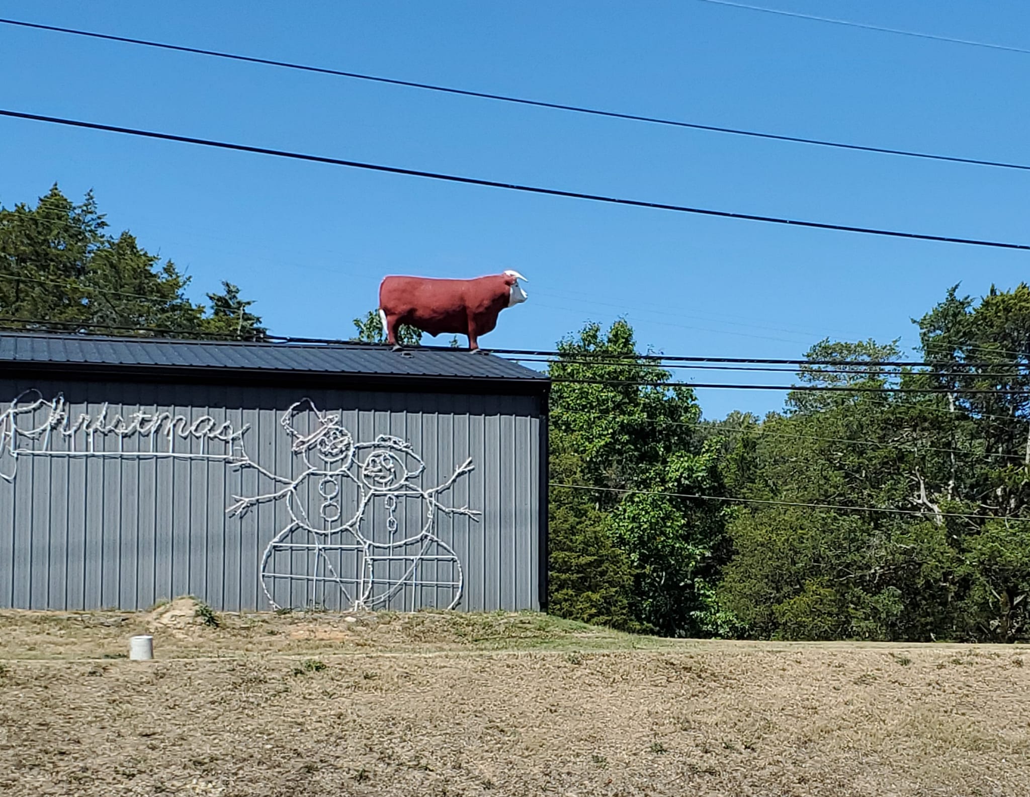 385875459_810976287471813_5643800469163383661_n