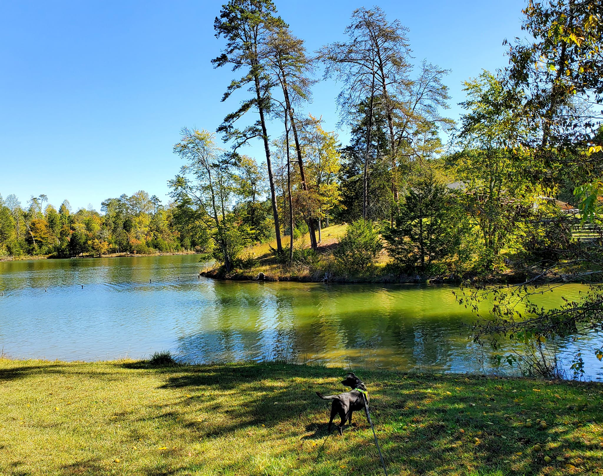 386316309_813067053929403_1887058205413678266_n