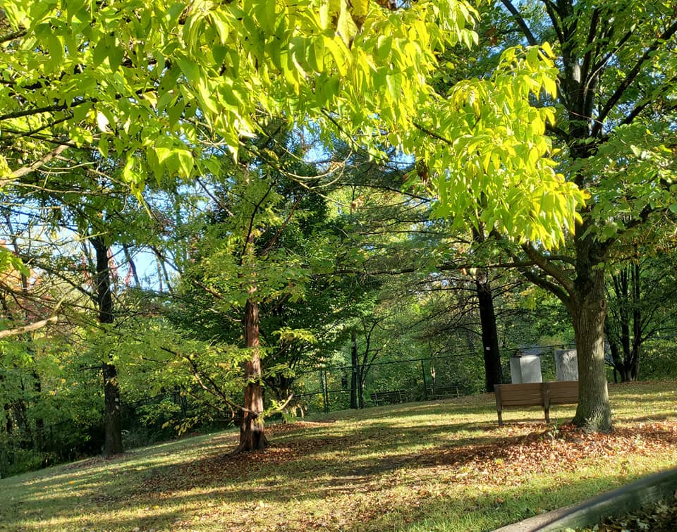 391626421_817357833500325_5614119769287669567_n