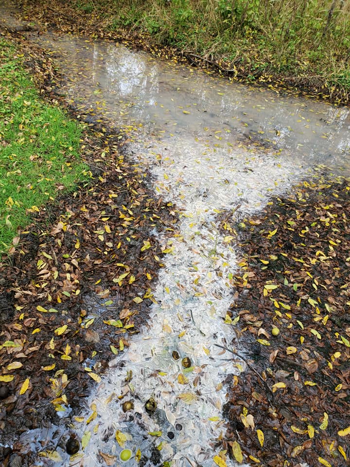 391626429_819698646599577_7637675219678891431_n