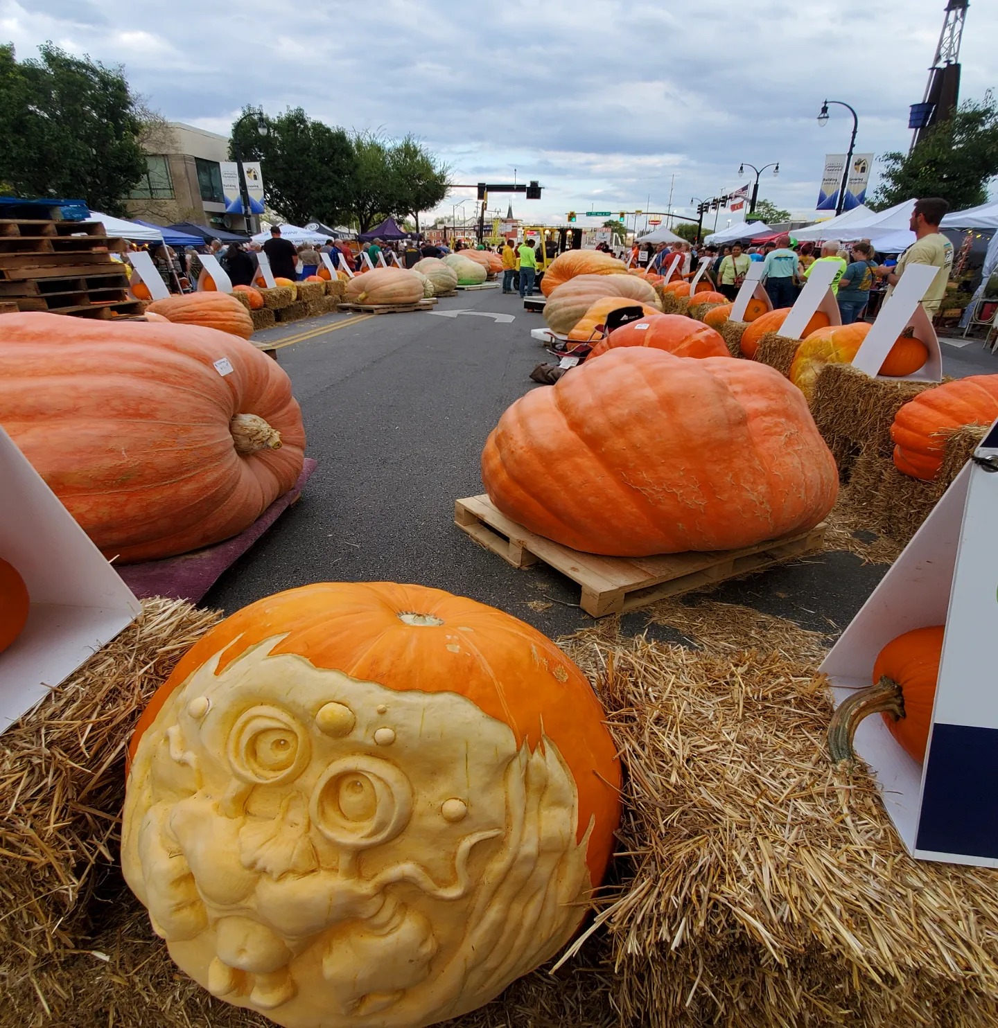 391636822_816723690230406_1770395475617984034_n