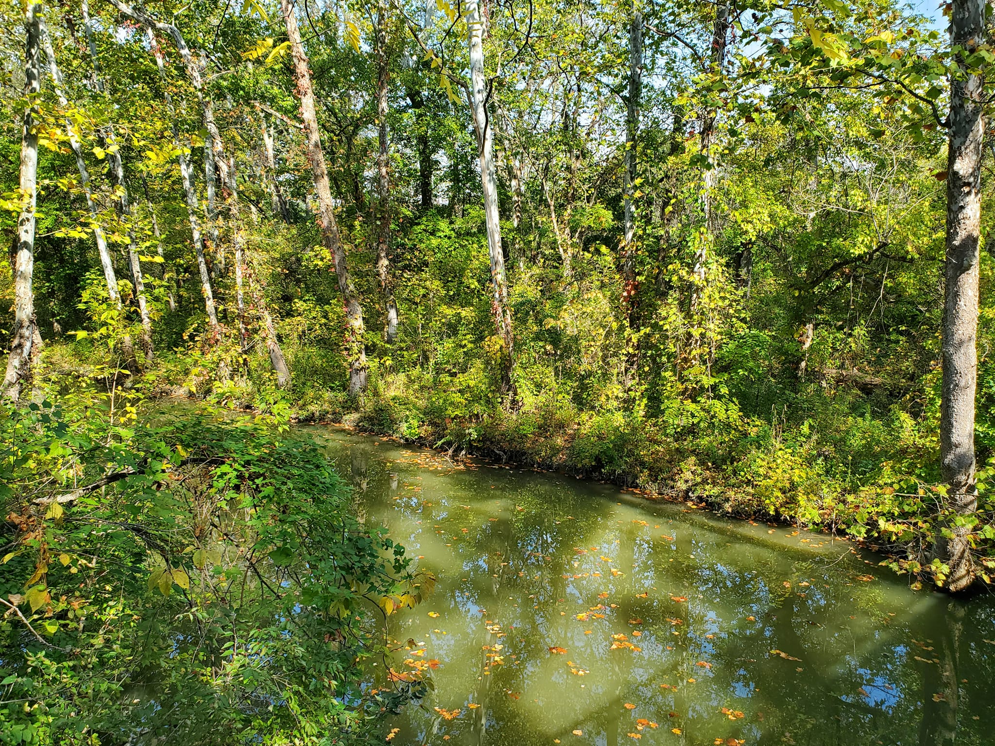 392881874_817349480167827_8355264538335886138_n