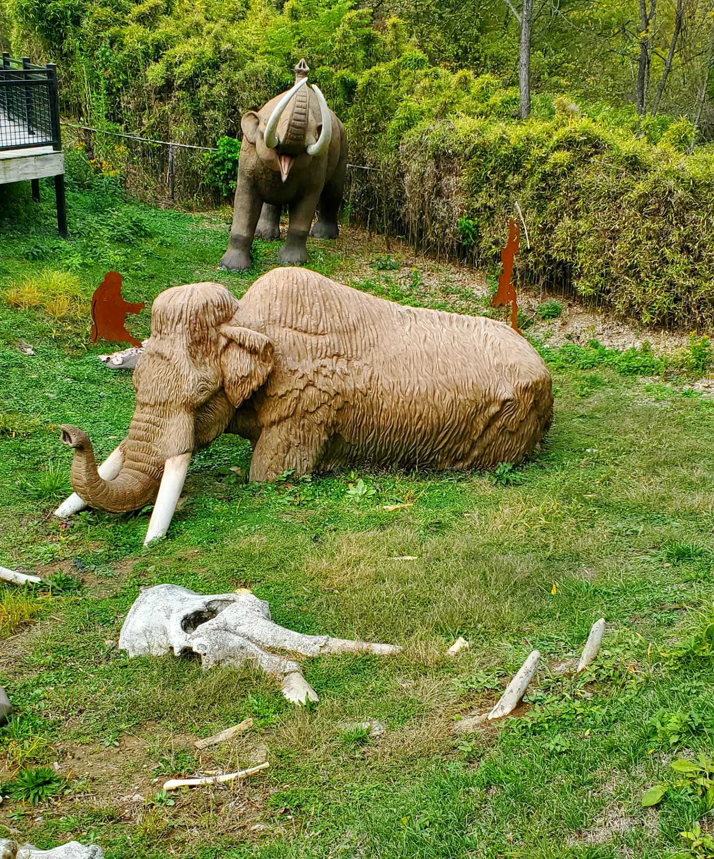 392932728_817914016778040_4421242088958640443_n