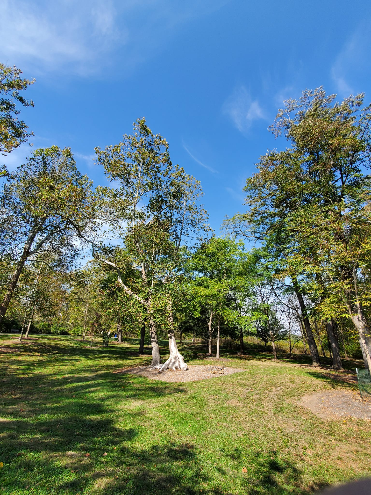 392940113_817349243501184_3300960993259846853_n