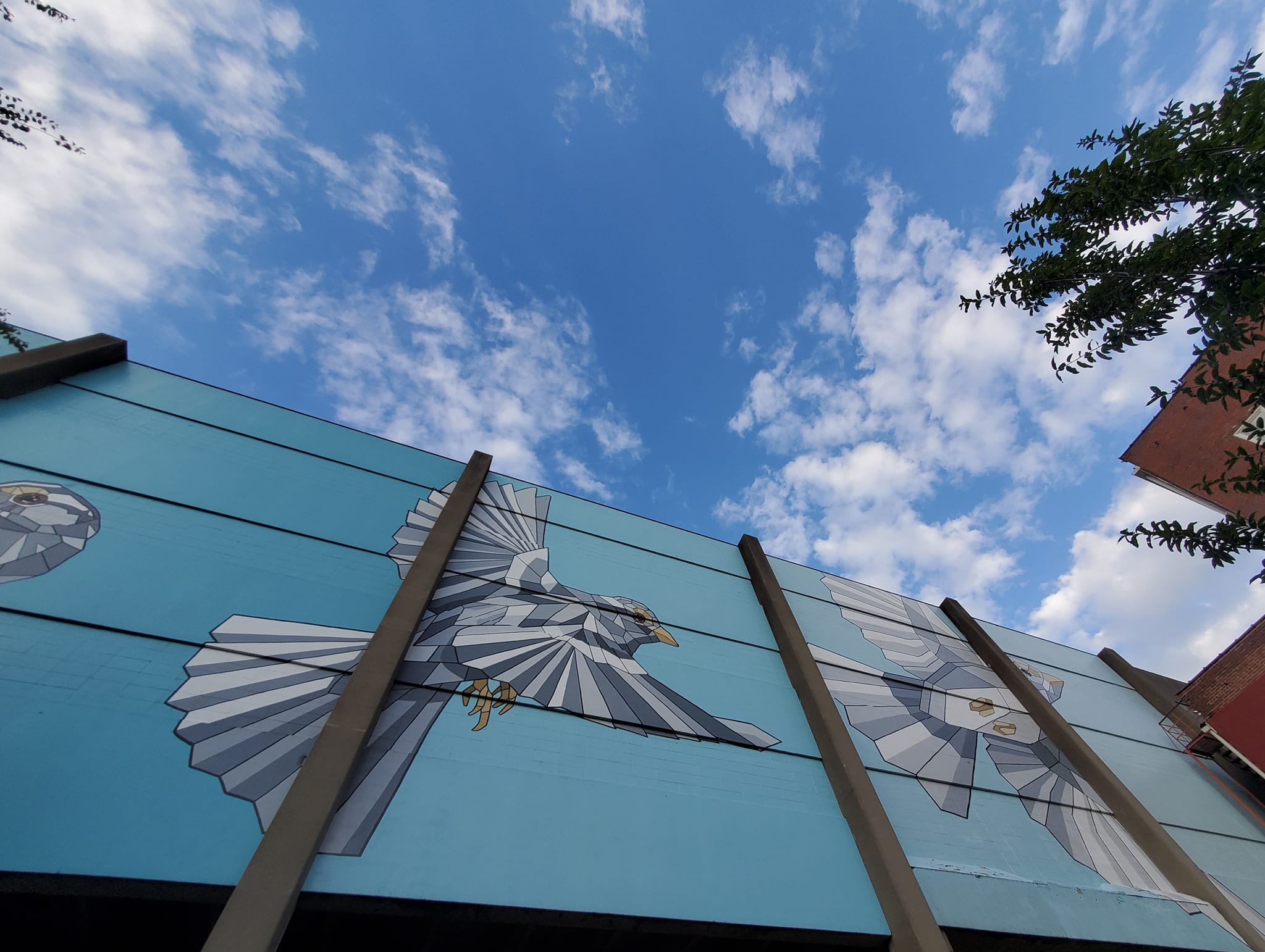 392940353_817351296834312_5822544373025984650_n