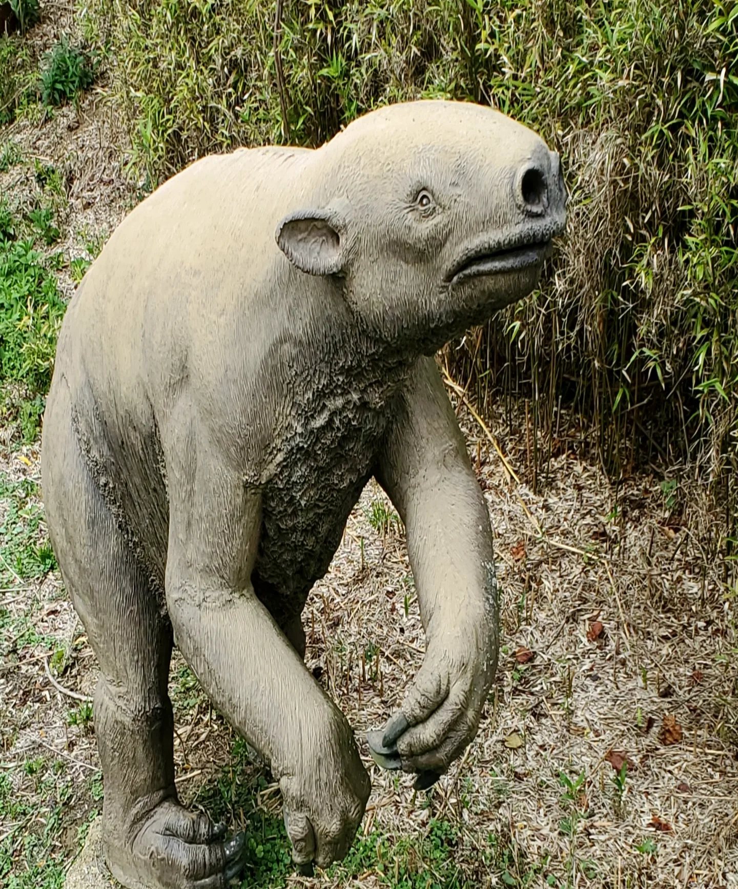 393123761_817914013444707_7609769405130462012_n