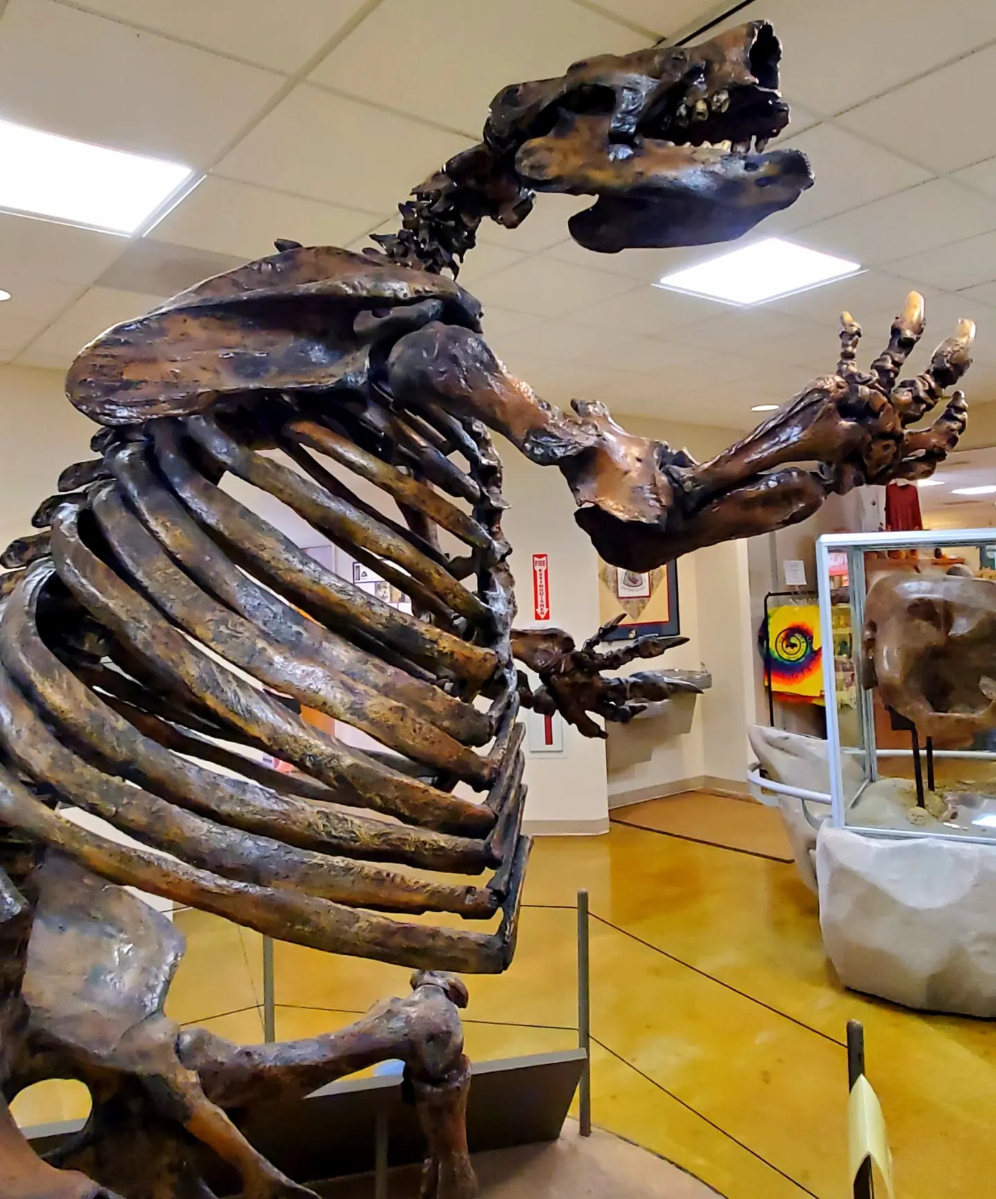 393444915_817914003444708_7641639543636677626_n