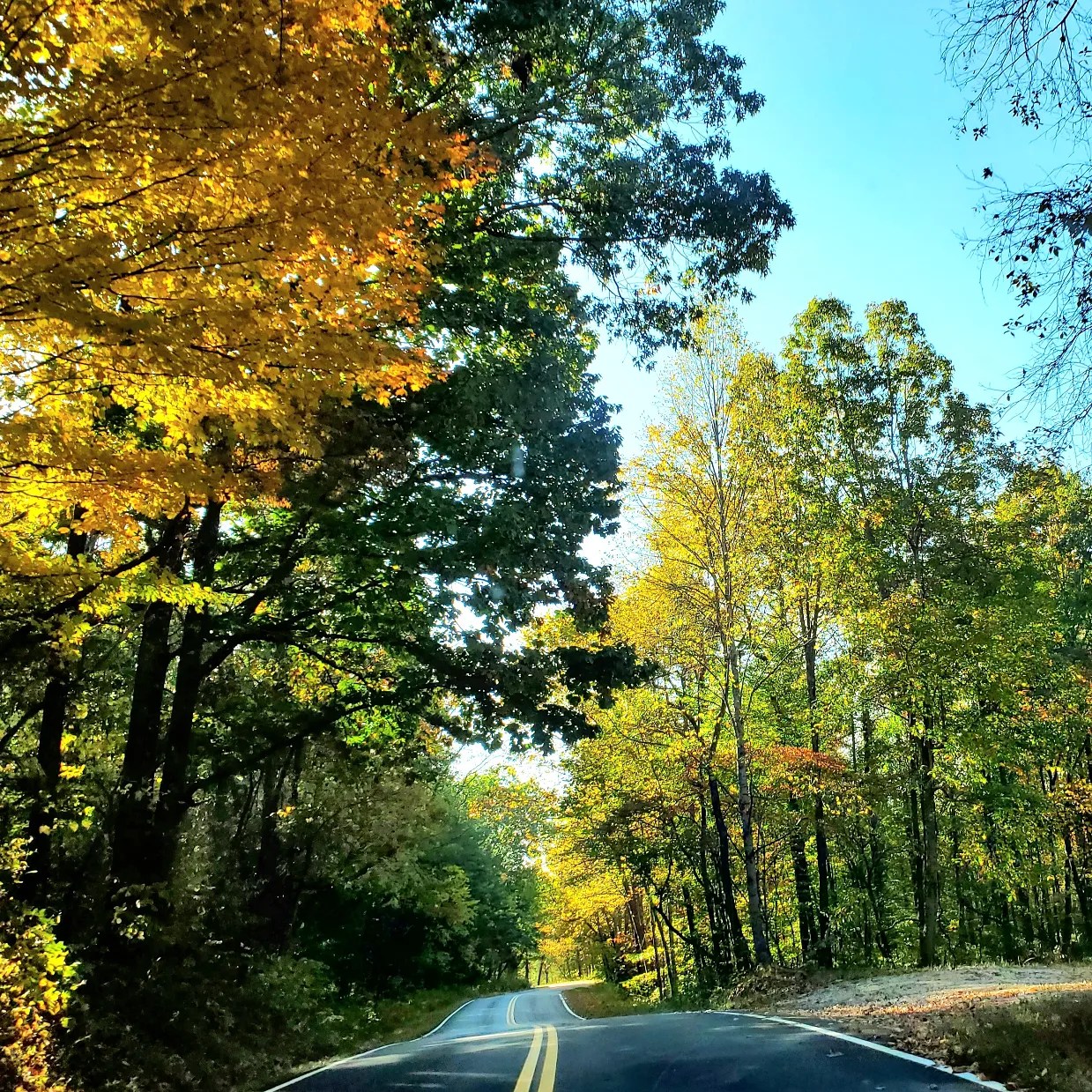 394601504_821108253125283_7690795667248468064_n