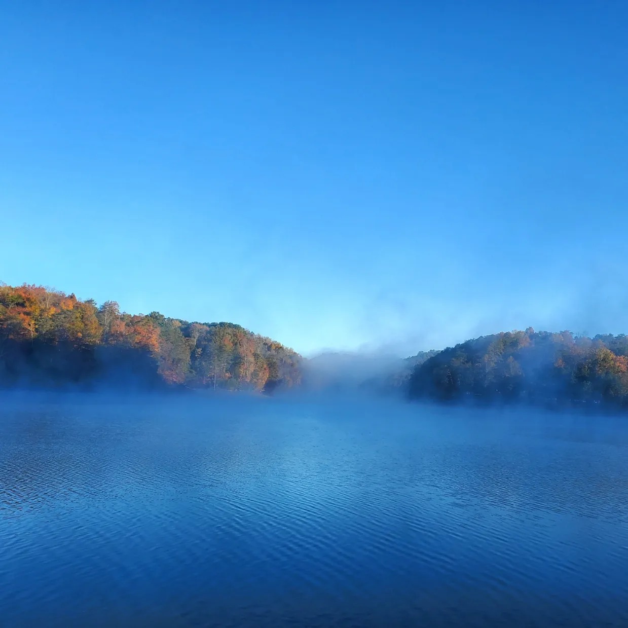 394820041_821108256458616_4187090112134759236_n