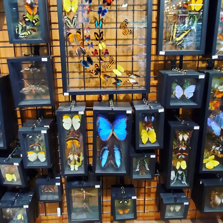 a386076093_811461030756672_2911165645088125306_n