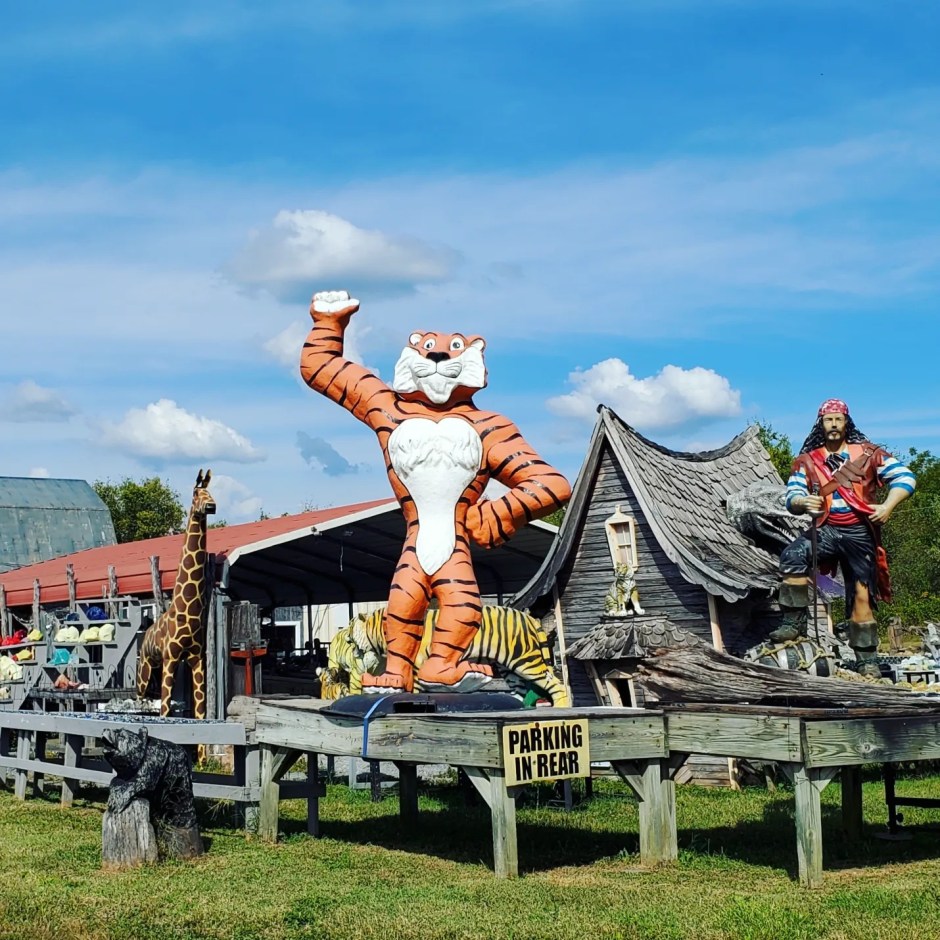 a386084541_811461010756674_6702785734237566749_n