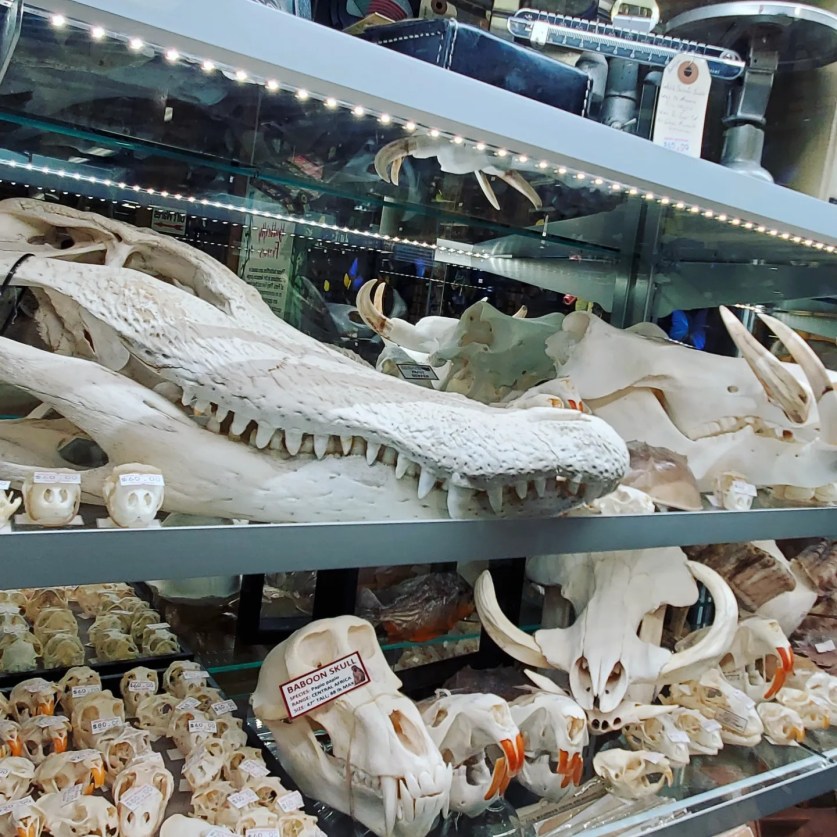 a386195844_811461020756673_7607580538047556141_n