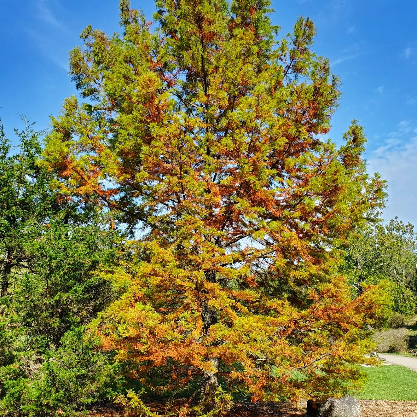 a387868652_816547650248010_4347740086770521311_n