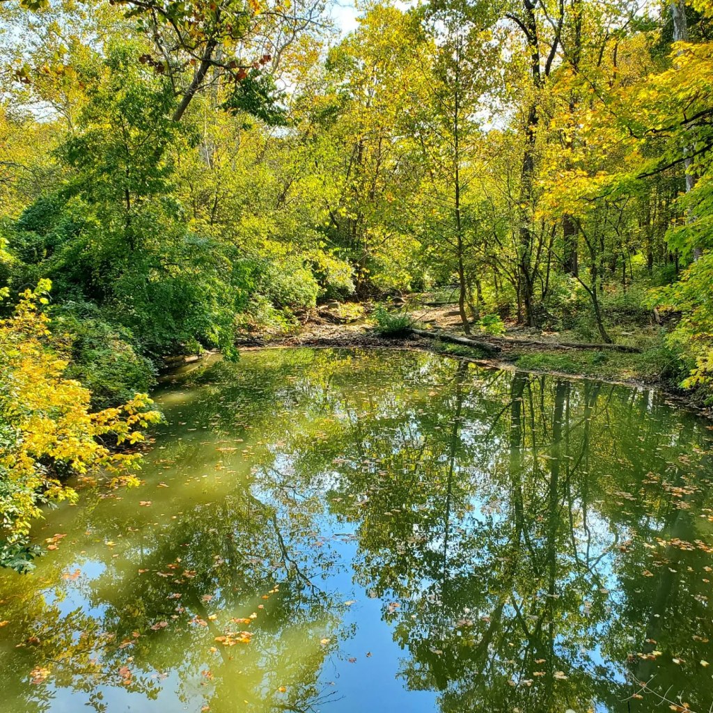 Cincinnati’s Glenwood Gardens & Woodland Era&nbsp;Mounds
