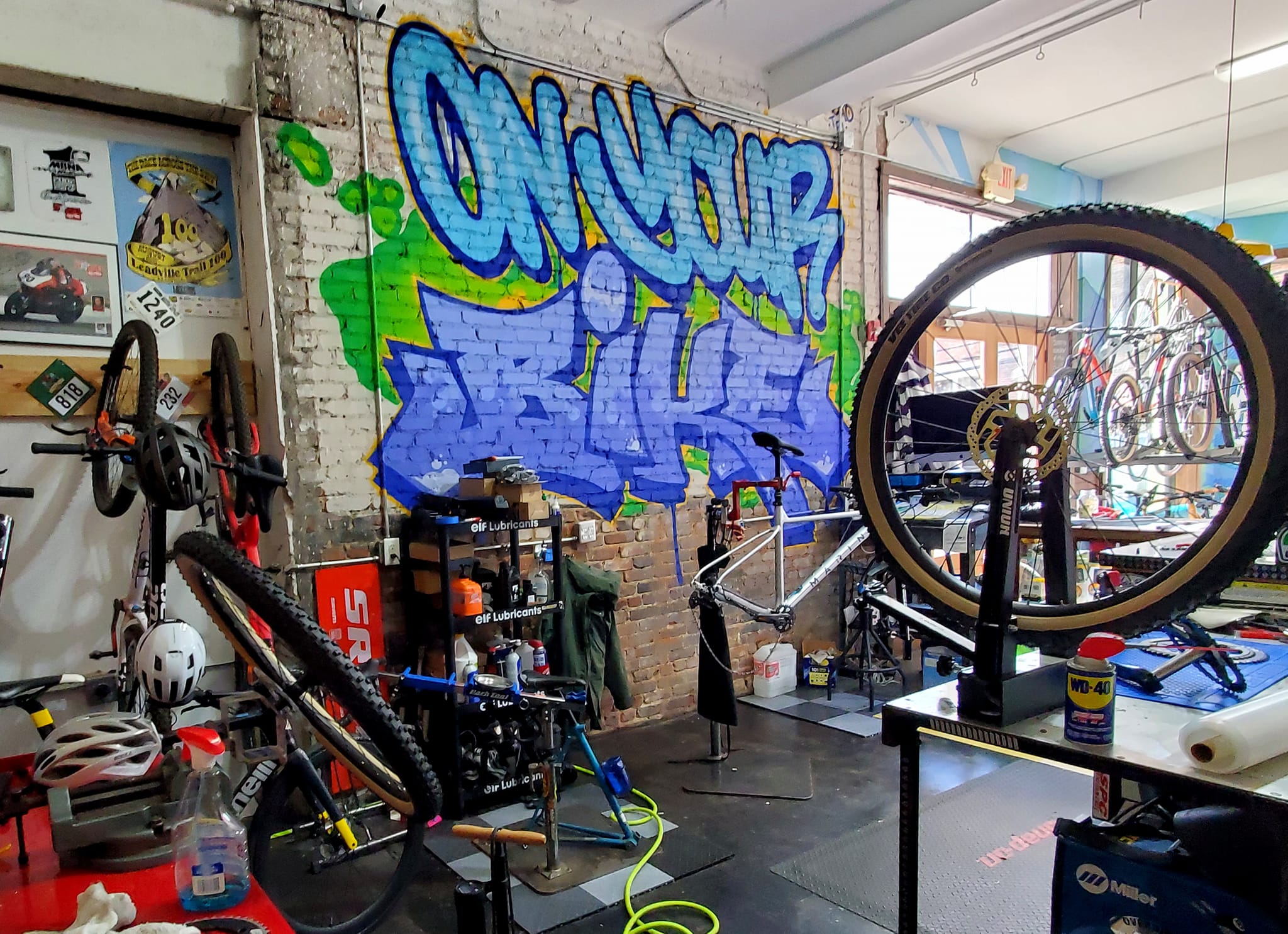 396718556_828208352415273_430447083565187530_n