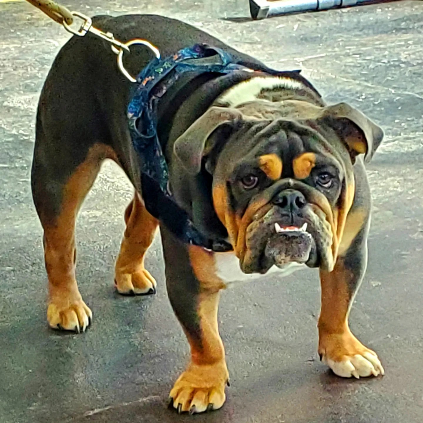 398805658_827210269181748_7975030983171839278_n