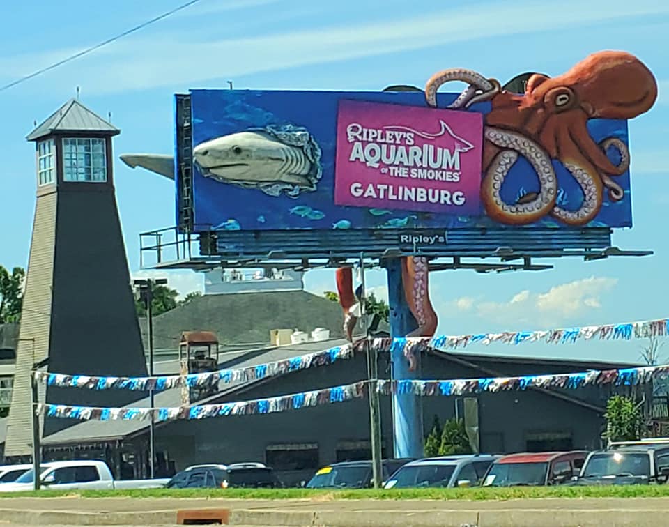 449359521_964827195420054_5129648041407101603_n